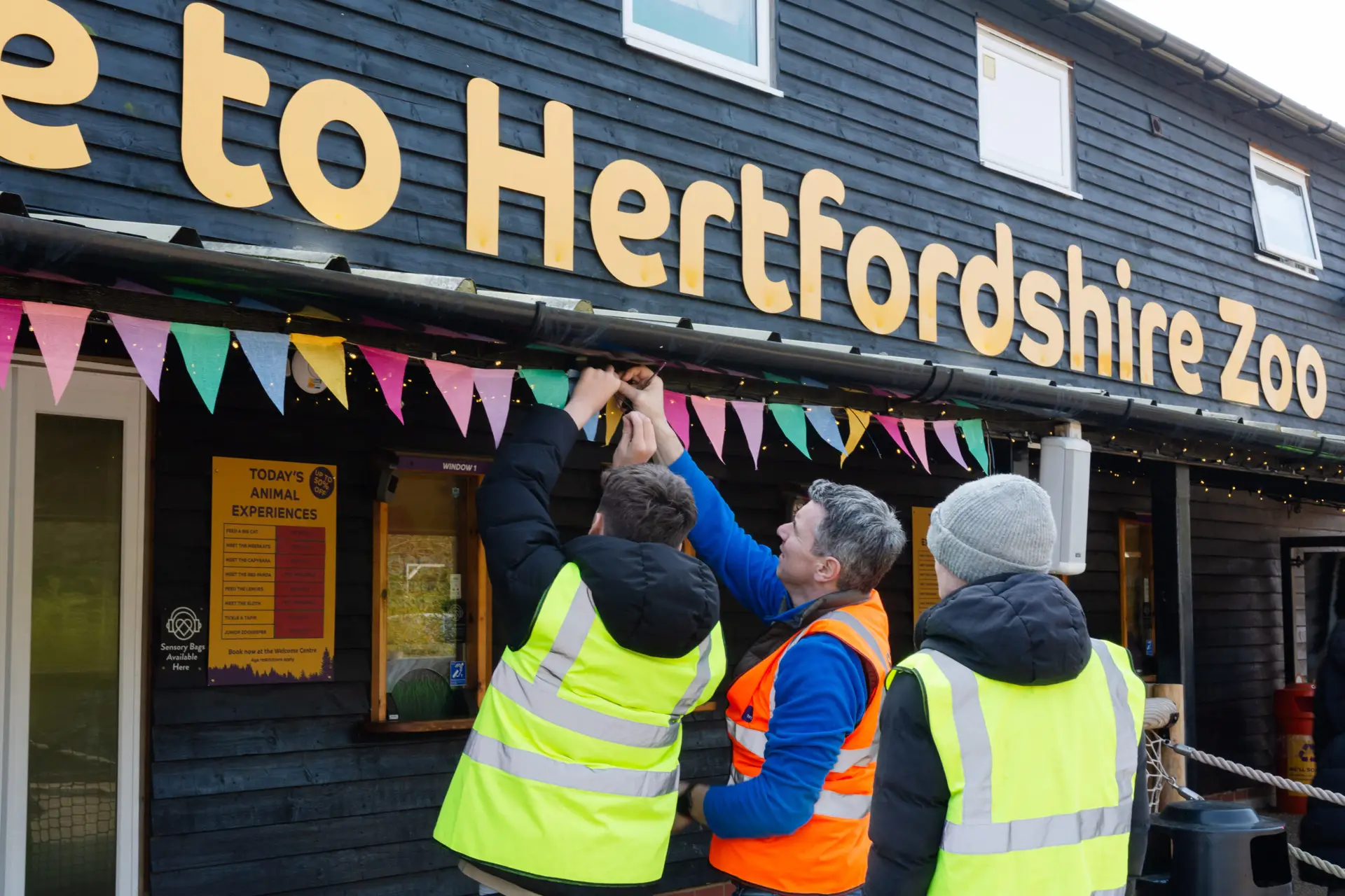 Students and staff putting up bunting at Hertfordshire Zoo