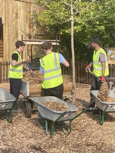 Three students loading their wheelbarrows with bark at Hertfordshire Zoo
